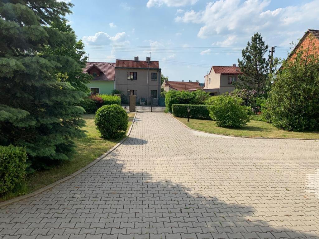 Dogs Resort And Spa Horni Bezdekov Dış mekan fotoğraf