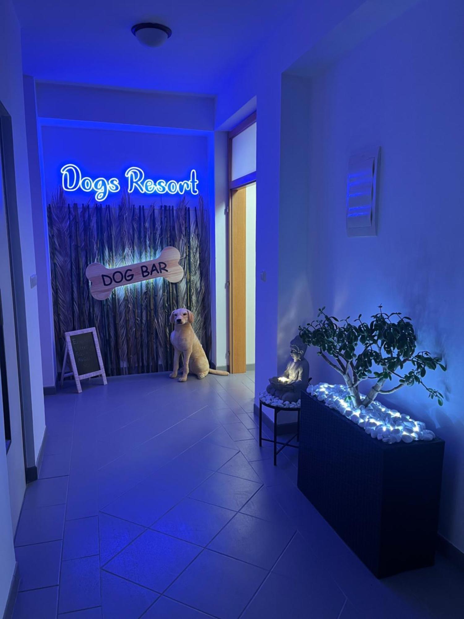 Dogs Resort And Spa Horni Bezdekov Dış mekan fotoğraf